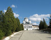 Manastirea Dridu